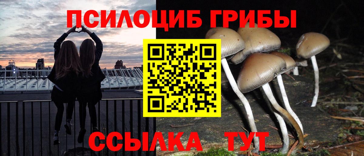 Ставрополь  Галлюциногенные грибы мухоморы  Вход с VPN 