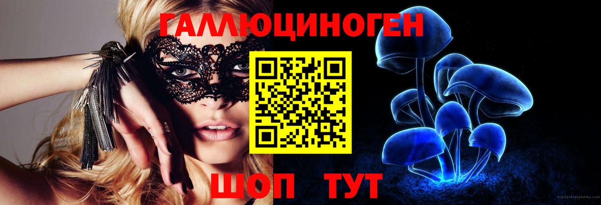 Галлюциногенные грибы Cubensis Ставрополь